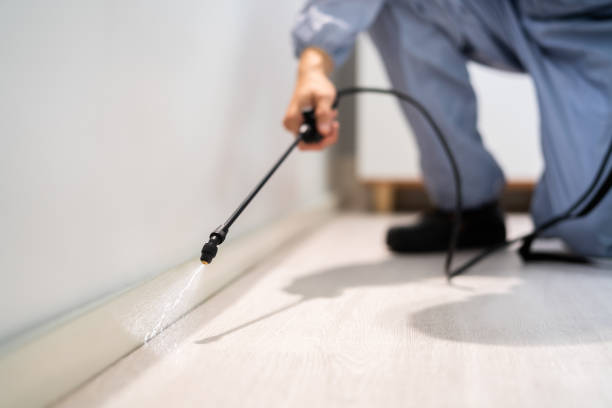Licensed Termite Control service in Menifee County County, KY - Nex Pest Control