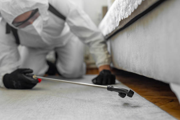 Professional Termite Control technician working in Menifee County County, KY